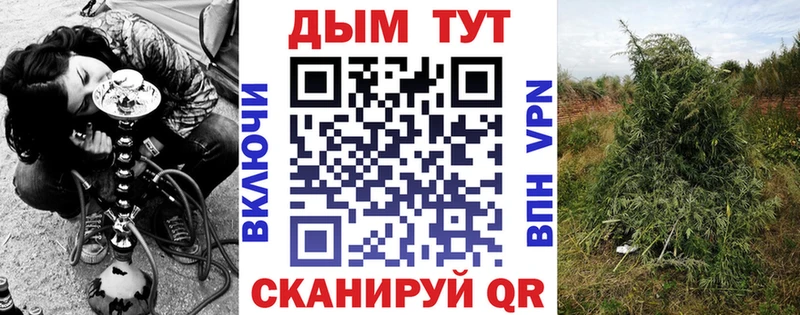 АМФЕТАМИН Сурск