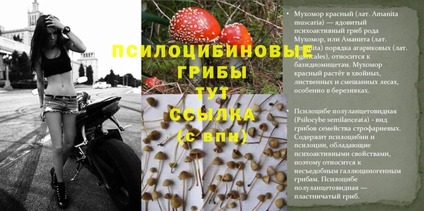 дживик Арсеньев