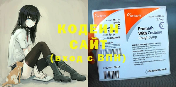 дживик Арсеньев