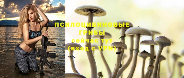 дживик Арсеньев