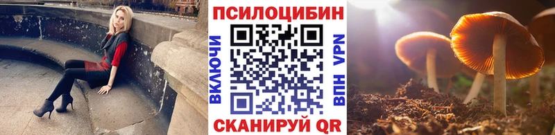 Галлюциногенные грибы MAGIC MUSHROOMS  Сурск 