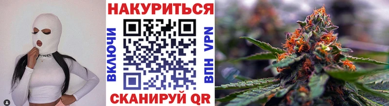 кракен как войти Сурск Шишки марихуана сатива
